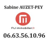 Appartement 1 pièce / 35 m² / 38 500 € / SEYNE